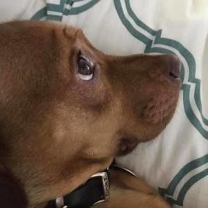 Meet your Posher, Mariela